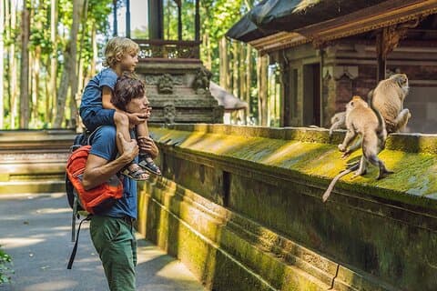 Beste av Ubud Private Tour med Guide