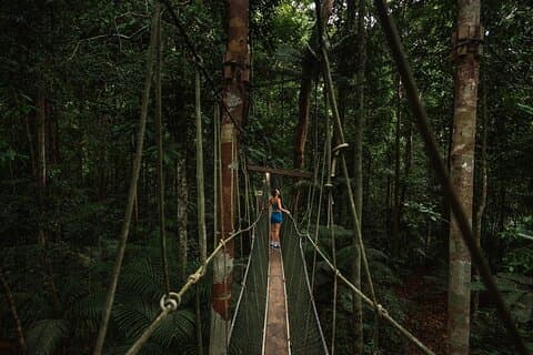 Privat transfer Kuala Lumpur till Taman Negara National Park