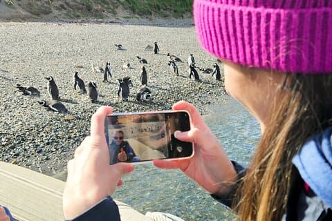 Penguins på slutten av verden
