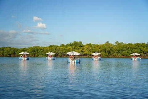 Denarau Self-Drive BBQ E-Boat Cruise Price Per Boat (2–6 Guests)