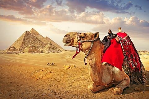 Kairo Pyramids & Grand Museum med buss fra Sharm El Sheikh