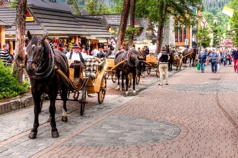 Tour di un giorno a Zakopane da Cracovia
