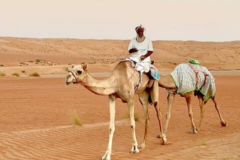 Gita di un giorno sulla sabbia di Wahiba con Dune Safari e Wadi Bani Khalid
