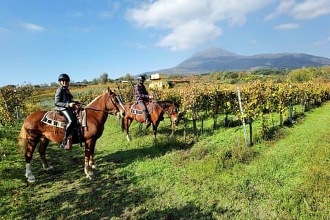 Pompeii Begeleide Tour & Paardrijden op de Vesuvius met Lunch