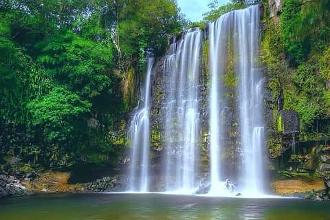 Luiaards + waterval bij JW Marriott Costa Elena Resort Costa Rica