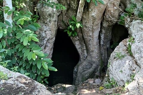 Shamanic Blessing Hidden Cenotes and Village Immersion