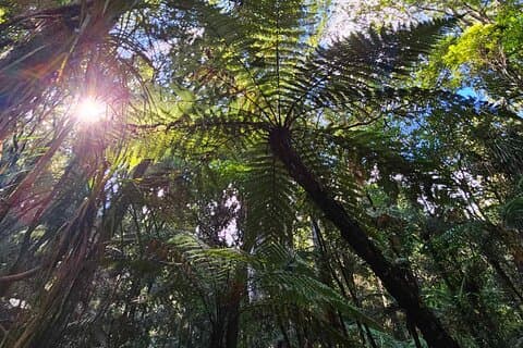 *Popular Tour* - Bay of Islands: Nature Adventure - 4hrs