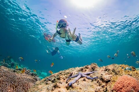 Halbtägige Tropical Coral Island Schnorcheltour von Phuket