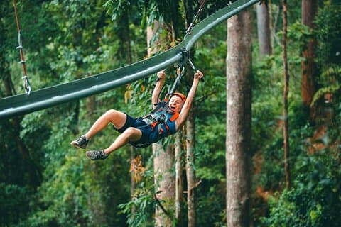 Jungle Flight Zipline berg-och dalbana