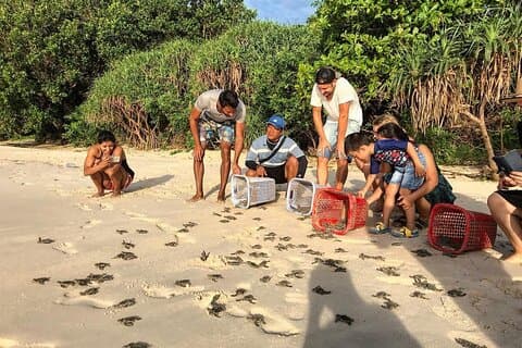 2 Day Hon Bay Canh Camping and Turtle Release Tour
