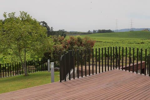 Premium wine tasting at Quinta das Arcas