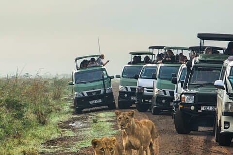 Nairobi National Park Tour Halvdag