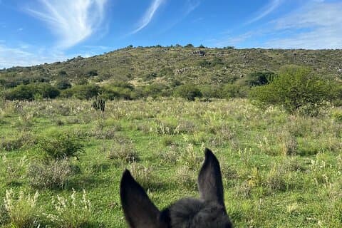Exclusiva Expedición Todo Incluido a Caballo en Córdoba