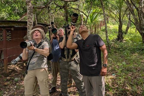 Safari-fugl foto tur i Monteverde. PRIVAT!