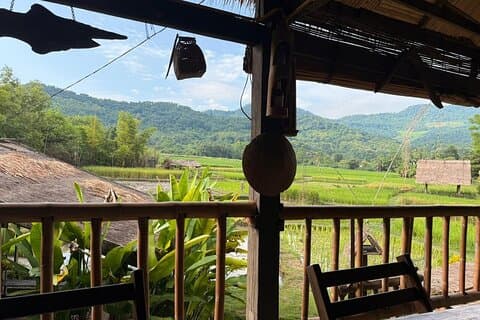 Experiencia de aprendizaje práctico de arroz de medio día en Luang Prabang