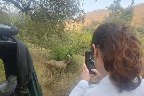2 dagar Sariska djurliv och kulturarv fly från Delhi