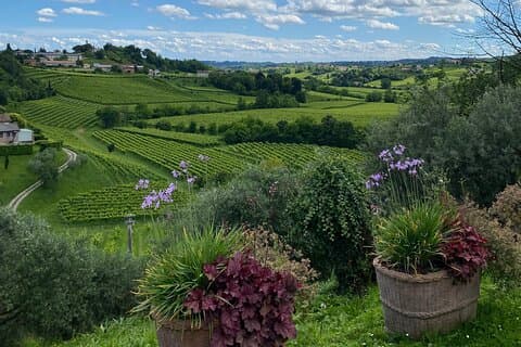 Rundtur i Prosecco Hills från Padua