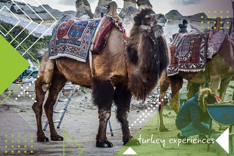 Tour de 6 días a Estambul, Capadocia, Pamukkale, Kusadasi, Éfeso