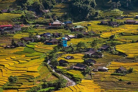 Sapa : Trekking panorámico a través de Majestuosas terrazas de arroz y pueblos rurales
