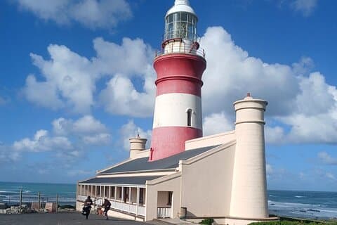 Cabo Agulhas con pingüinos y cata de vinos