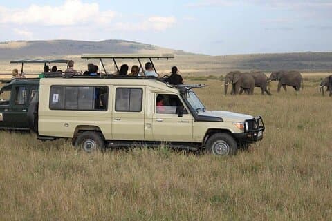 Planeje sua aventura de 7 dias Maasai Mara to Amboseli