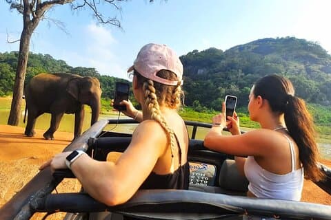 All-inclusive privésafari in Habarana Park (inclusief pick-up)