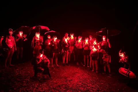 El Yunque Rainforest Night Walk Adventure (Twilight River & Swim)