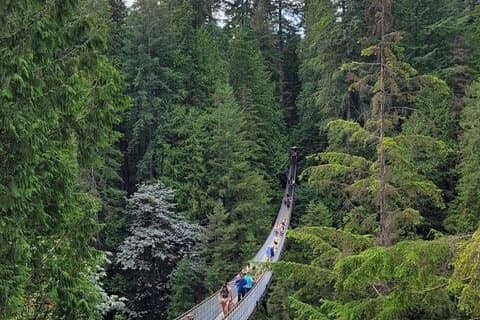 Tour della città di Vancouver: Capilano Bridge e Stanley Park