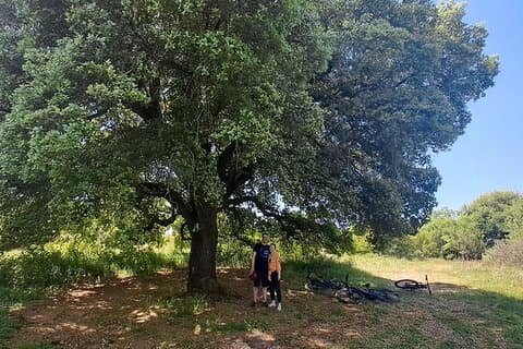 e-MTB-tur - Durrells Farm & Crab Lake [30 km - 18 mi]