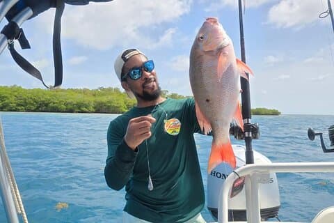 Reef Fishing Tour Trolling and Drop Fishing Trip from Hopkins