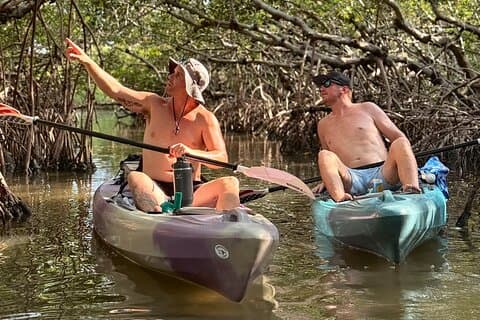 Mangrove Tunnels Kayak Tour To Shell Key - St. Pete