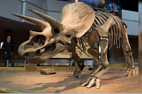 Excursão exclusiva Drumheller privada de Calgary