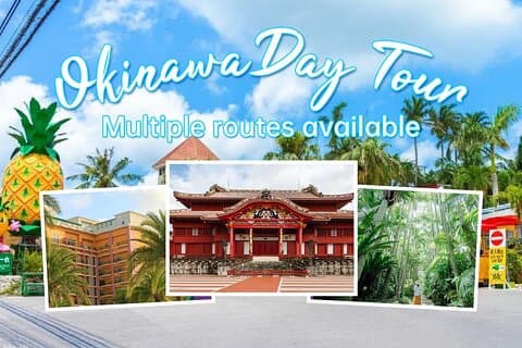 Okinawa Classic Highlights & Flexible Routes: Private Tour