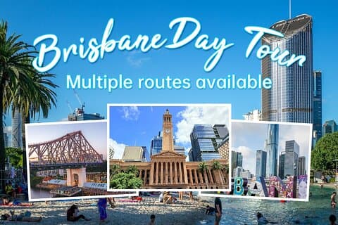 Privétour van een dag 100% aanpassen in Brisbane