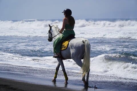Bali Horse Riding Trot or Canter Sanur Beach include Transport