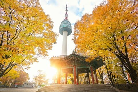 Sør-Korea : N Seoul Tower Observatory billett