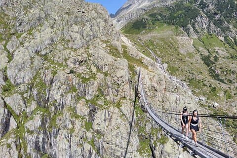 Dagstur till Zürich: Trift hängbro i schweiziska Alperna