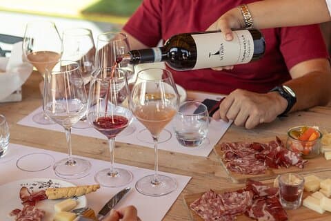 Almuerzo ligero entre los viñedos y la bodega.