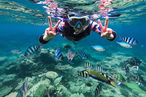 Snorkeling na Blue Lagoon Bali com transferências de grupo e almoço