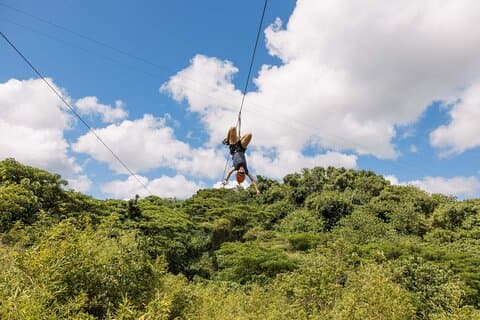Restauranter i nærheten av Kayak, Hike & Zipline