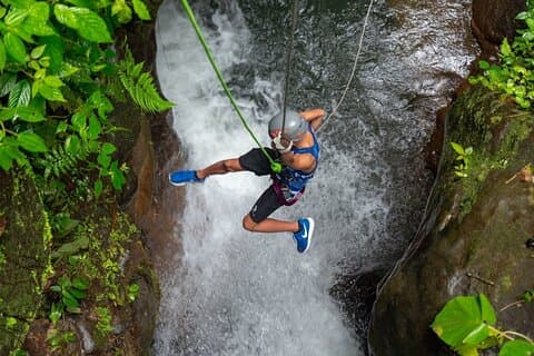 Restauranter i nærheten av Rainforest Rappel Wild Falls Adventure