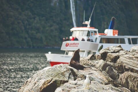 Autocar Milford Sound et croisière prolongée au départ de Te Anau