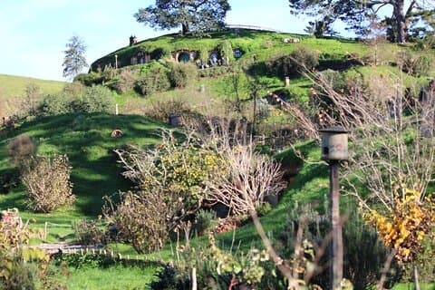 2-dages Hobbiton, Rotorua, Waitomo Caves-tur fra Auckland med overnatning