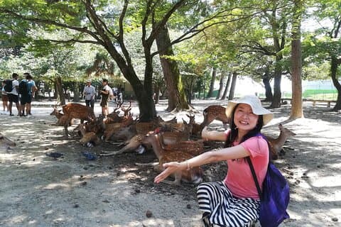 Nara Tagesausflug von Osaka – Japanischer Fortgeschrittener