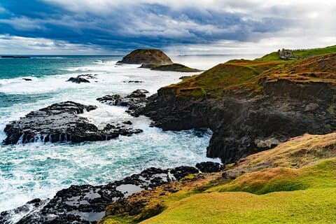 Tour privato di Melbourne Phillip Island: parata di pinguini e fauna selvatica