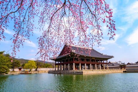 Gyeongbokgung Palace: Slottets blodiga historia