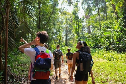 Manzanillo Full Expedition : jungle, viewpoint, eco-finca and boat