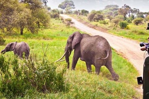 Hluhluwe Game Reserve et Isimangaliso Safari de 2 jours au départ de Durban