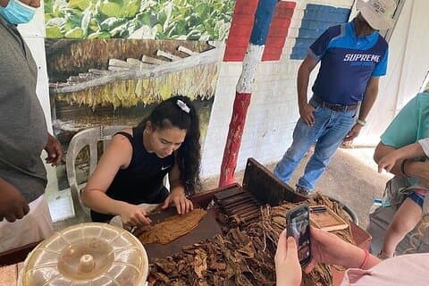 Meia jornada de safari de Punta Cana com almoço
