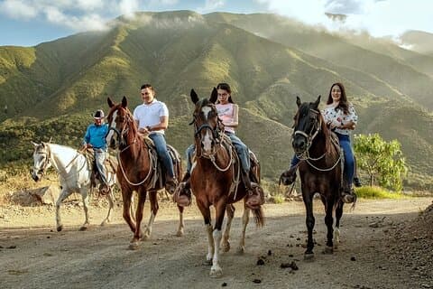 Las Cañadas Horseback Riding (with Luxury Transportation)